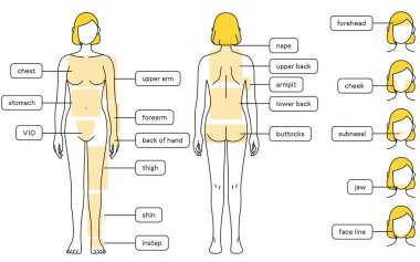 Hair Removal Illustrations for Women - Full body and face