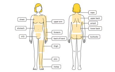 Hair Removal Illustrations for Women - Full body