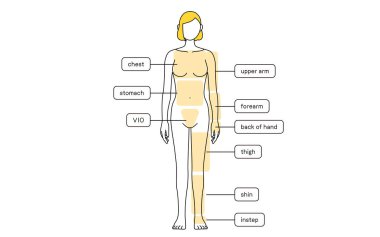Female Hair Removal Illustration Full Length from Front