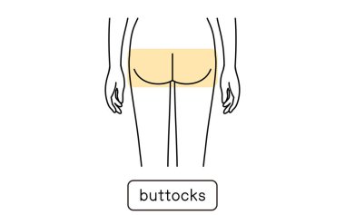 Female hair removal illustration by part, hips