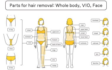 Illustration of female hair removal Full body, VIO, Face