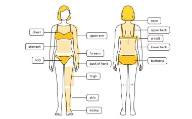 Hair Removal Illustrations for Women - Full body