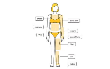 Female Hair Removal Illustration Full Length from Front