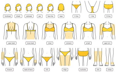 Hair Removal Illustrations for Women by Parts, Facial Hair Removal, VIO, Upper Body, Lower Body