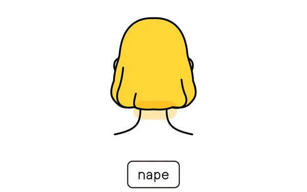 Hair Removal Clip Art Women Part Part Nape Neck — 图库矢量图片