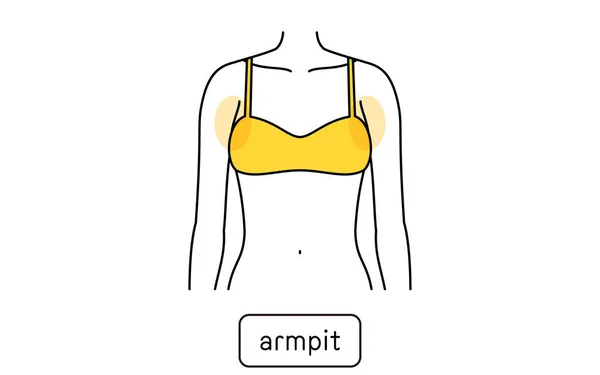 Hair Removal Illustration Women Part Armpit — ストックベクタ