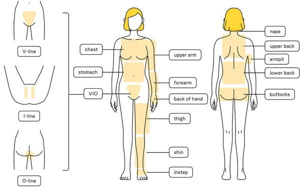 Hair Removal Illustrations Women Full Body Vio — Stok Vektör