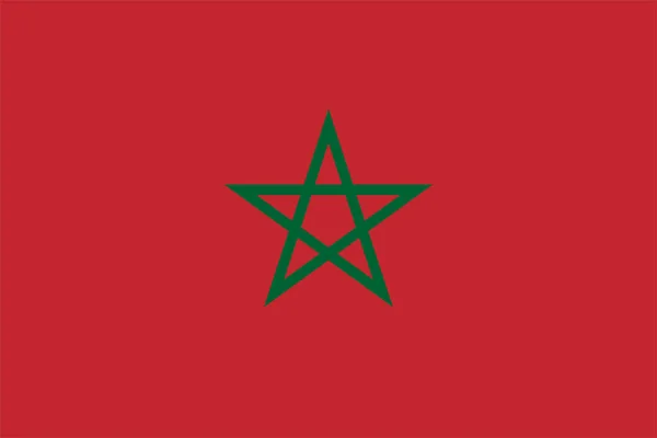 Världens Nationella Flagga Marocko — Stock vektor