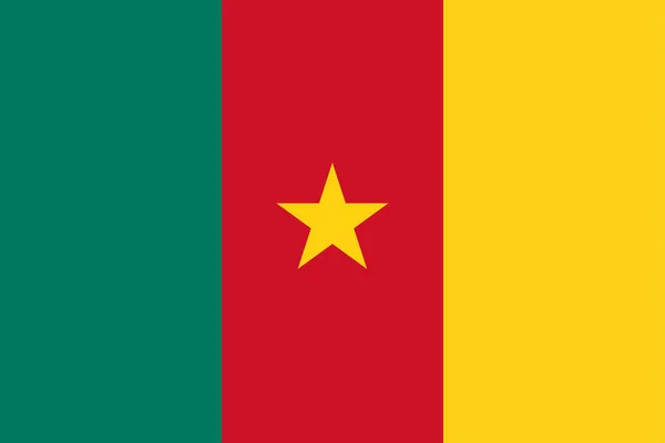 Världens Nationella Flagga Kamerun — Stock vektor