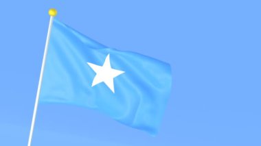 Dünyanın ulusal bayrağı, Somali