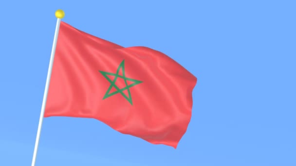 Національний Прапор Світу Марокко — стокове відео