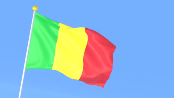 Nationale Vlag Van Wereld Mali — Stockvideo