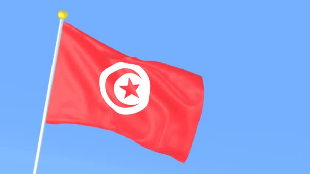 Bandera Nacional Del Mundo Túnez — Vídeos de Stock