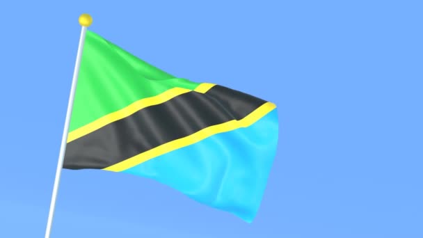 Bandiera Nazionale Del Mondo Tanzania — Video Stock