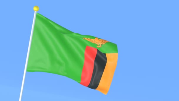 Bendera Nasional Dunia Zambia — Stok Video