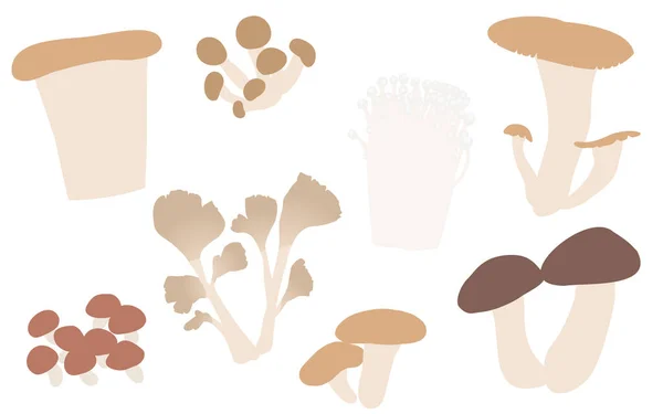 Autumn Taste Simple Illustration Mushrooms Matsutake Maitake Shiitake Other — Stock Vector