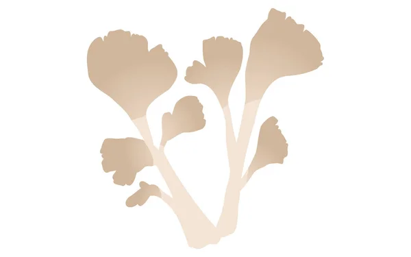 Sabor Outono Ilustração Simples Cogumelos Maitak — Vetor de Stock