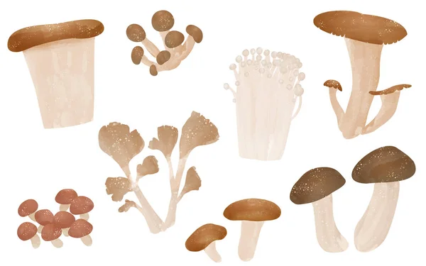 秋天的味道 蘑菇的简单图解 芝麻等 — 图库矢量图片