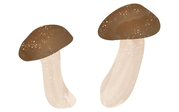 Autumn Taste Simple Mushroom Illustration Matsutak — Stock Vector