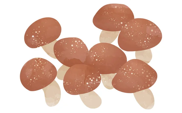 Taste Autumn Simple Illustration Mushrooms Namek — Stock Vector