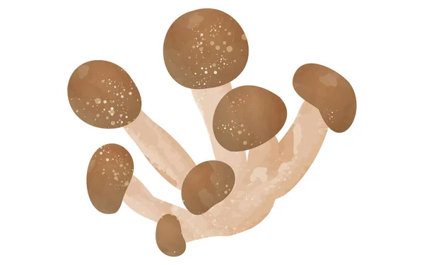 Gusto Autunnale Semplice Illustrazione Funghi Faggio Shimej — Vettoriale Stock