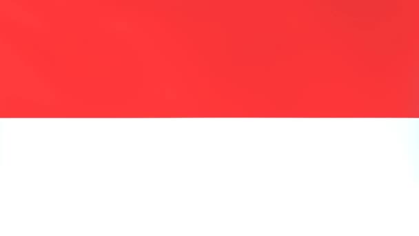 Animación 3Dcg Banderas Nacionales Ondeando Viento Indonesia — Vídeos de Stock