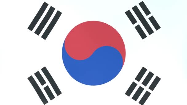 3Dcg Анимация Развевающихся Ветру Национальных Флагов Южной Кореи — стоковое видео