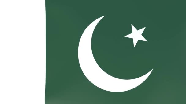 風になびく国旗の3Dcgアニメーション パキスタン — ストック動画