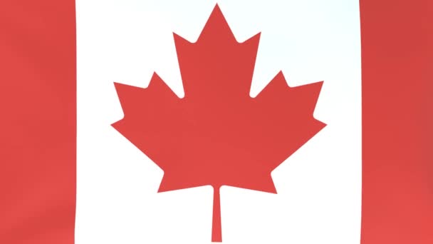Rüzgarda Dalgalanan Ulusal Bayrakların 3Dcg Animasyonu Kanada — Stok video