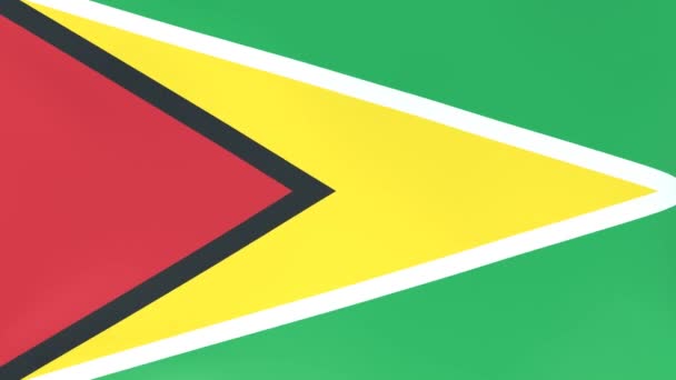 風になびく国旗の3Dcgアニメーション ガイアナ — ストック動画