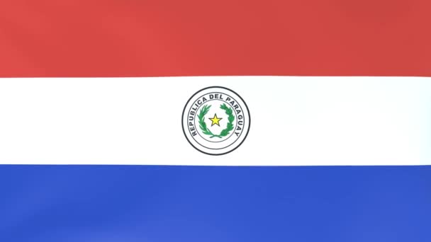 3Dcg Анимация Развевающихся Ветру Национальных Флагов Парагвай — стоковое видео