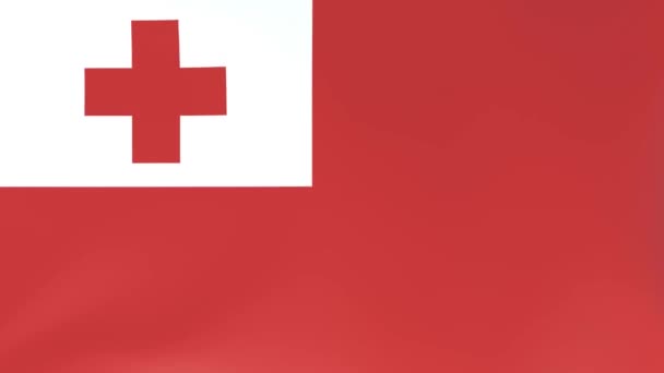 3Dcg Animace Národních Vlajek Vlající Větru Tonga — Stock video