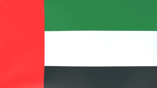 3Dcg Animatie Van Nationale Vlaggen Wapperend Wind Verenigde Arabische Emiraten — Stockvideo