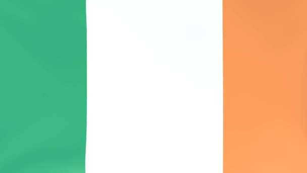 3Dcg Animace Národních Vlajek Vlající Větru Irsko — Stock video