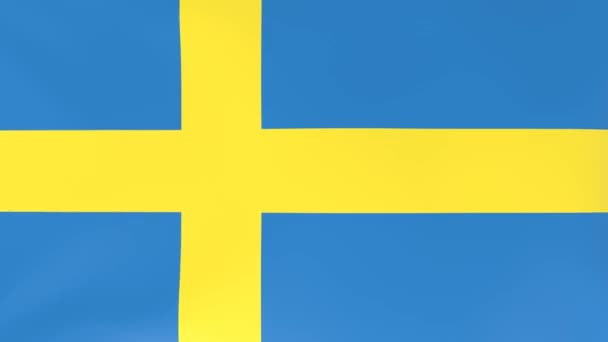 3Dcg Animace Národních Vlajek Vlající Větru Švédsko — Stock video