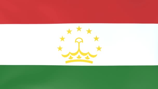 風になびく国旗の3Dcgアニメーション タジキスタン — ストック動画