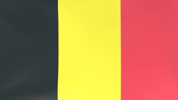 風になびく国旗の3Dcgアニメーション ベルギー — ストック動画