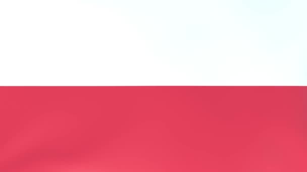 3Dcg Animation National Flags Fluttering Wind Poland — Stock Video