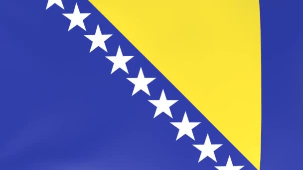 Rüzgarda Dalgalanan Ulusal Bayrakların 3Dcg Animasyonu Bosna Hersek — Stok video