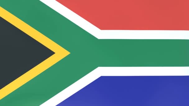 風になびく国旗の3Dcgアニメーション 南アフリカ — ストック動画