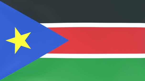 風になびく国旗の3Dcgアニメーション 南スーダン — ストック動画