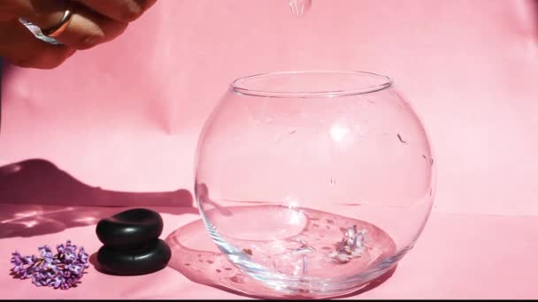 Vaso con fiori lilla su sfondo rosa — Video Stock