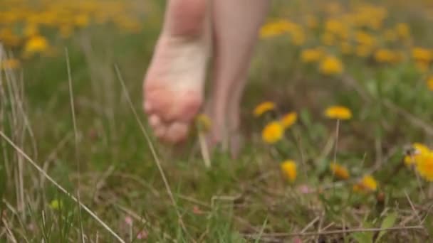 草の上を歩く女性の足は — ストック動画