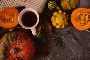 Sonbahar konsepti. Üst görünüm.