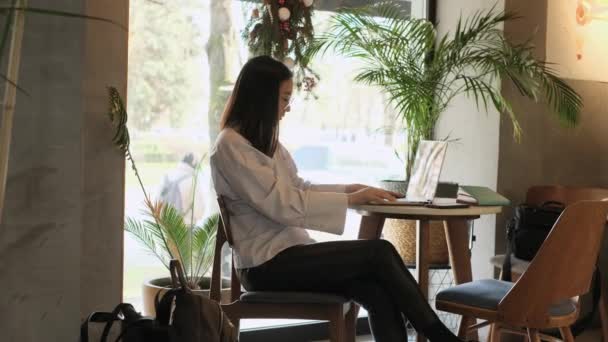 Asiática freelancer femenina trabajando en un café — Vídeos de Stock