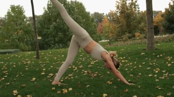 Uma mulher faz ioga no parque — Vídeo de Stock
