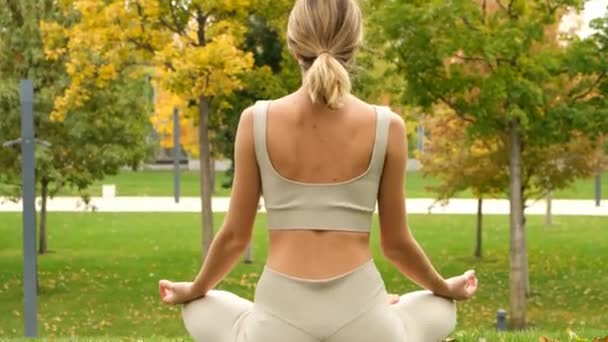 Una mujer hace yoga en el parque — Vídeos de Stock
