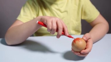 Küçük bir çocuk paskalya yumurtası boyuyor..