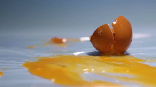 A tojás az asztalra esik.. — Stock videók