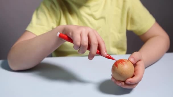 Ein kleines Kind bemalt ein Osterei. — Stockvideo